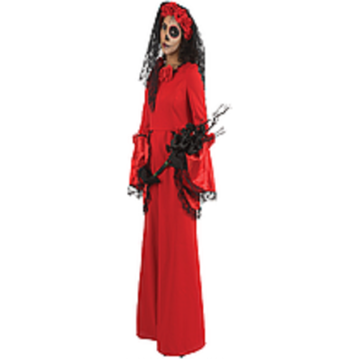 Mexican Day Of The Dead Woman’s Costume