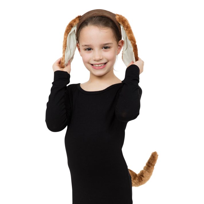 Brown Dog Costume Accessory Set