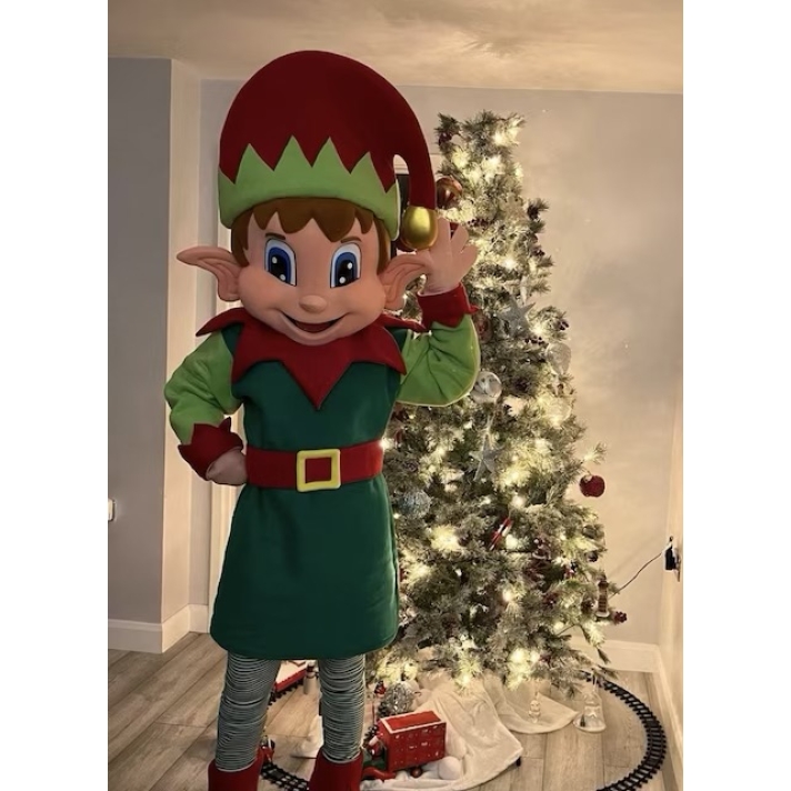 Professional Elf Mascot Costume