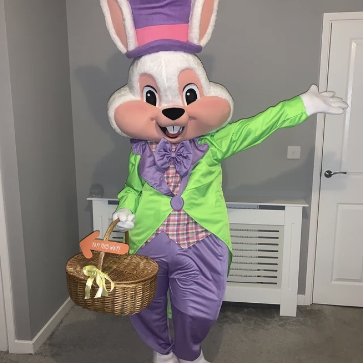 Professional Easter Bunny Mascot Costume