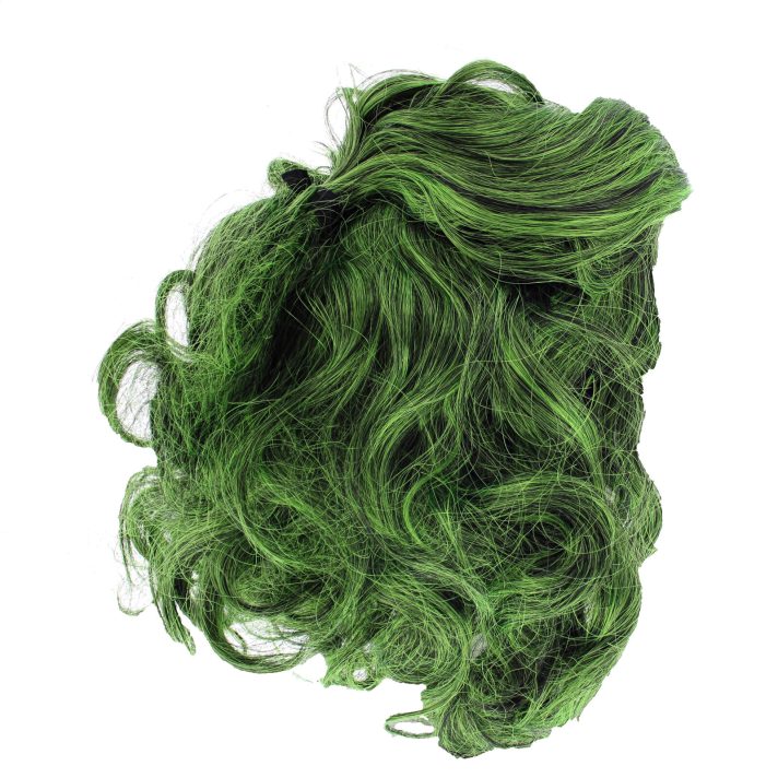 The Joker Green Wig
