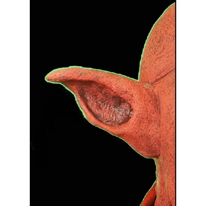 Monster Foam Latex Prosthetic Ears