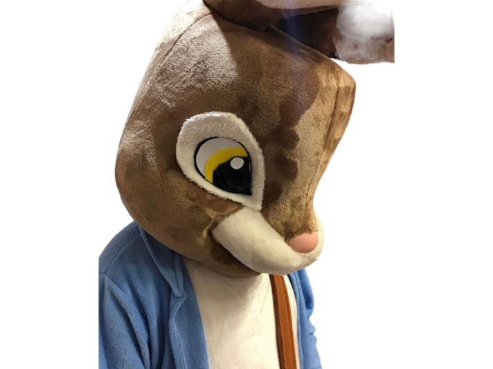 Professional Brown Rabbit Mascot Costume