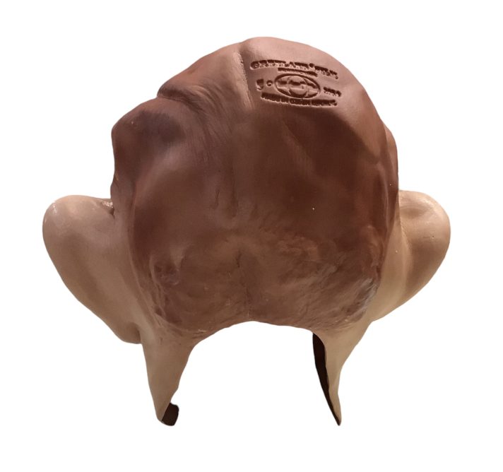 King Charles Foam Latex Mask