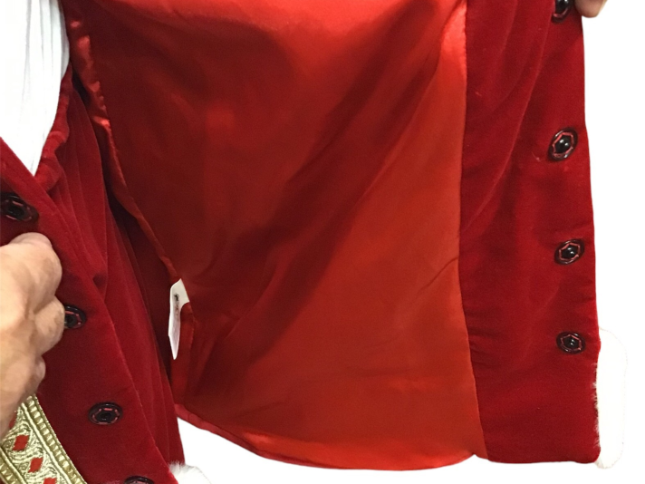 Professional Santa Claus Costume