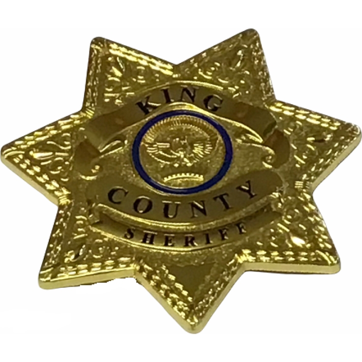 Kings County Sherrif Star Pin Badge