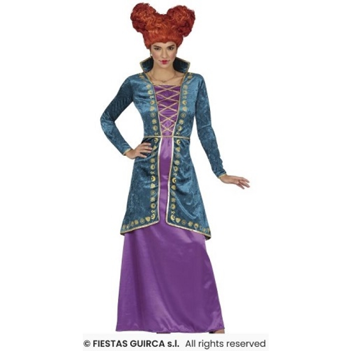 Womens Sister Witch Costume