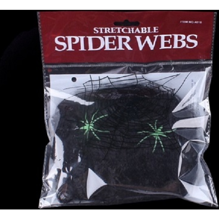 Black Spider Web