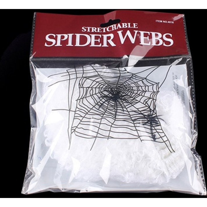 White Spider Web