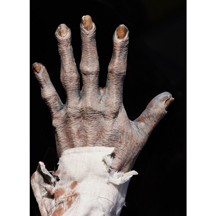 Zombie Foam Latex Hand Backs