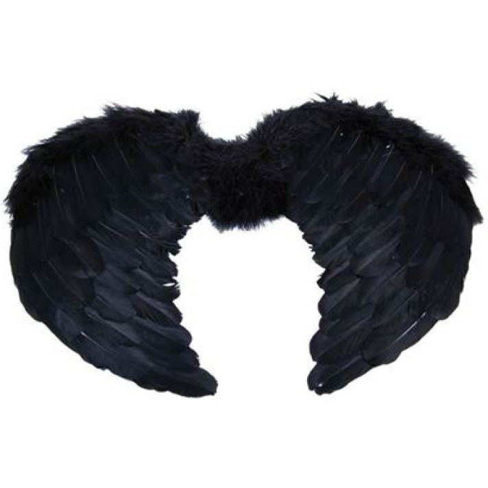 Black Feather Angel Wings