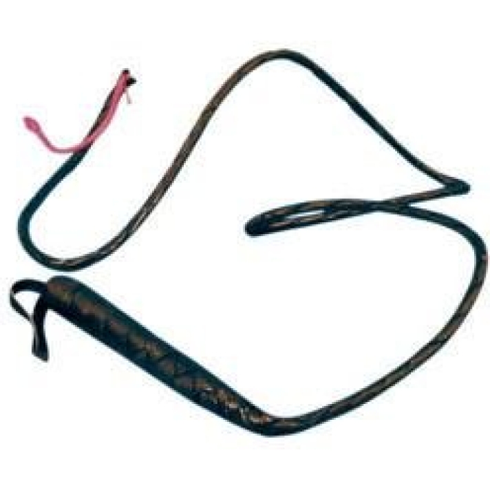 Leather Whip