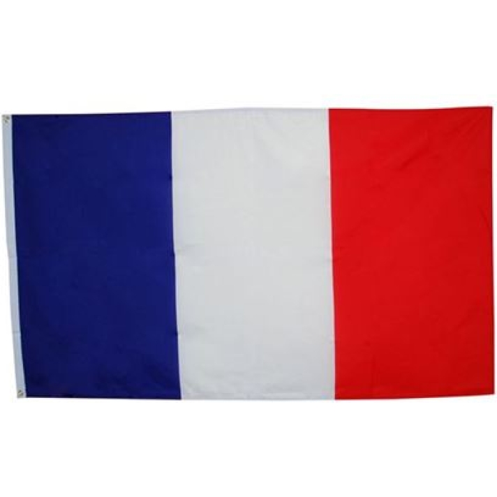French tricolor polyester large european flag 5 x 3  party room decoration Bristol Novelty PG015