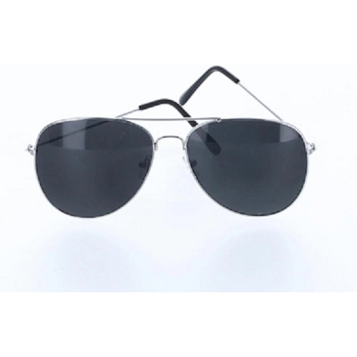 Silver Aviator Glasses